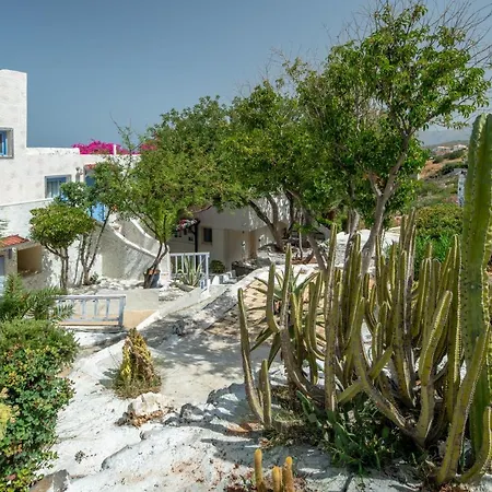 Magnificent View Double With Shared Pool And Ac 3*